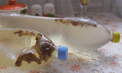 Квас из березового сока