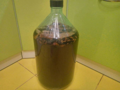Квас из березового сока